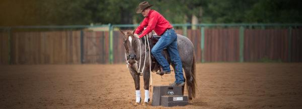 Stand-Still-for-Mounting