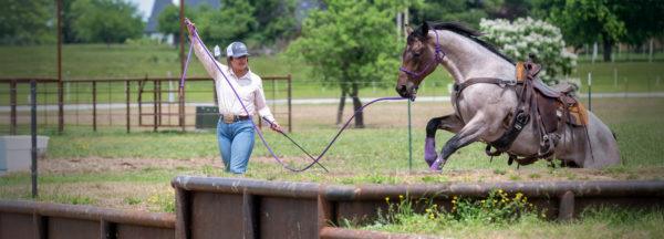 Variety-is-Important-When-Training