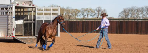 training-tip_fixing-horses-fidgety-feet