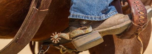 How-to-Introduce-Spurs